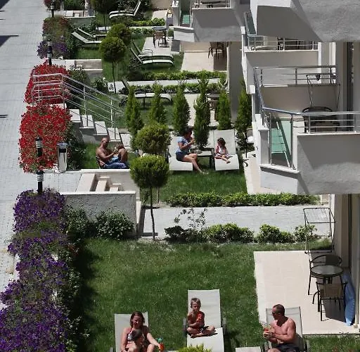 Dream Family Club 시데